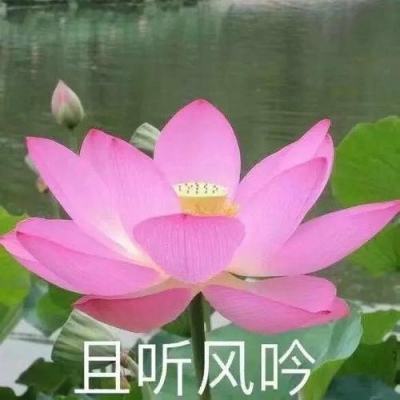 《长三角地区人乳库运行管理专家共识》上海启动编写